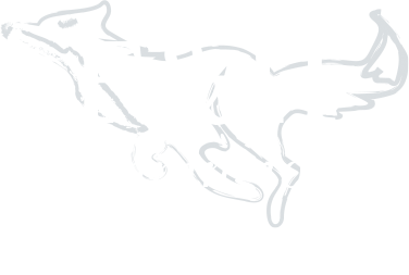 Fox & Hounds Sinnington